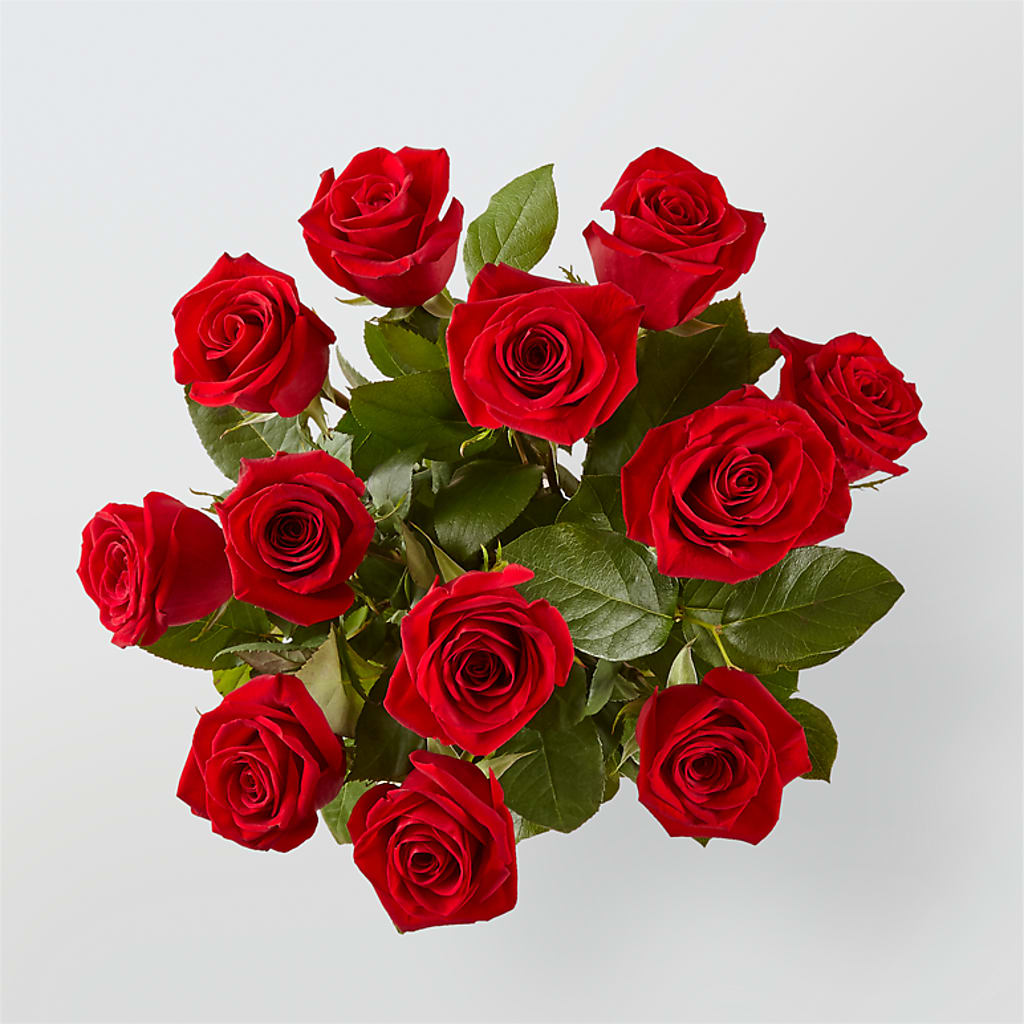 Long Stem Red Rose Bouquet – ALWAYS & FOREVER FLORAL, Delbarton WV