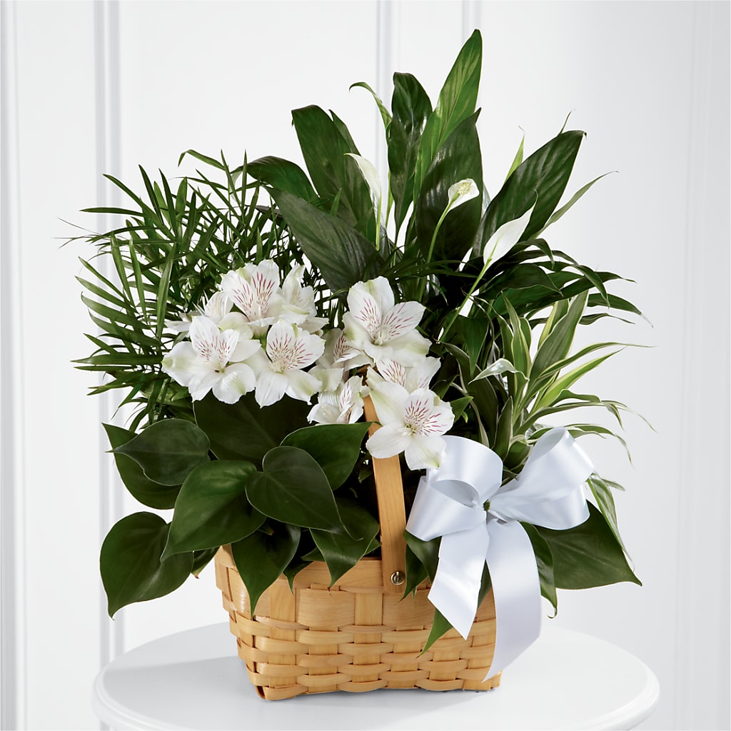 Peace & Serenity Dishgarden – ALWAYS & FOREVER FLORAL, Delbarton WV