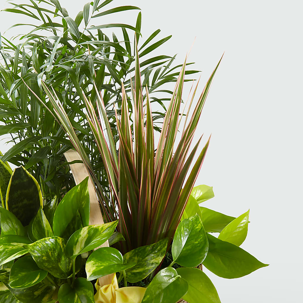 French Garden – ALWAYS & FOREVER FLORAL, Delbarton WV