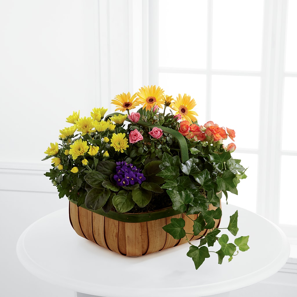 Gentle Blossoms Basket – ALWAYS & FOREVER FLORAL, Delbarton WV