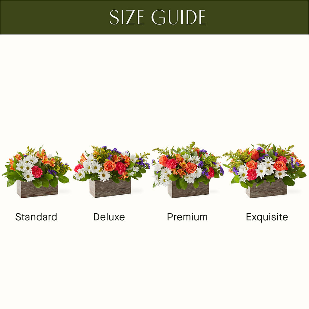 Oopsie Daisy Box Bouquet – ALWAYS & FOREVER FLORAL, Delbarton WV