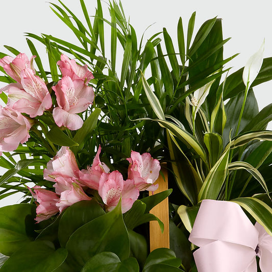 Living Spirit Dishgarden – ALWAYS & FOREVER FLORAL, Delbarton WV
