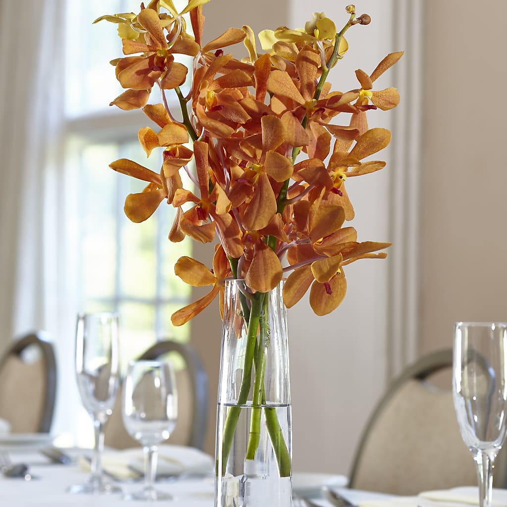 Orange Mokara Bud Vase – ALWAYS & FOREVER FLORAL, Delbarton WV