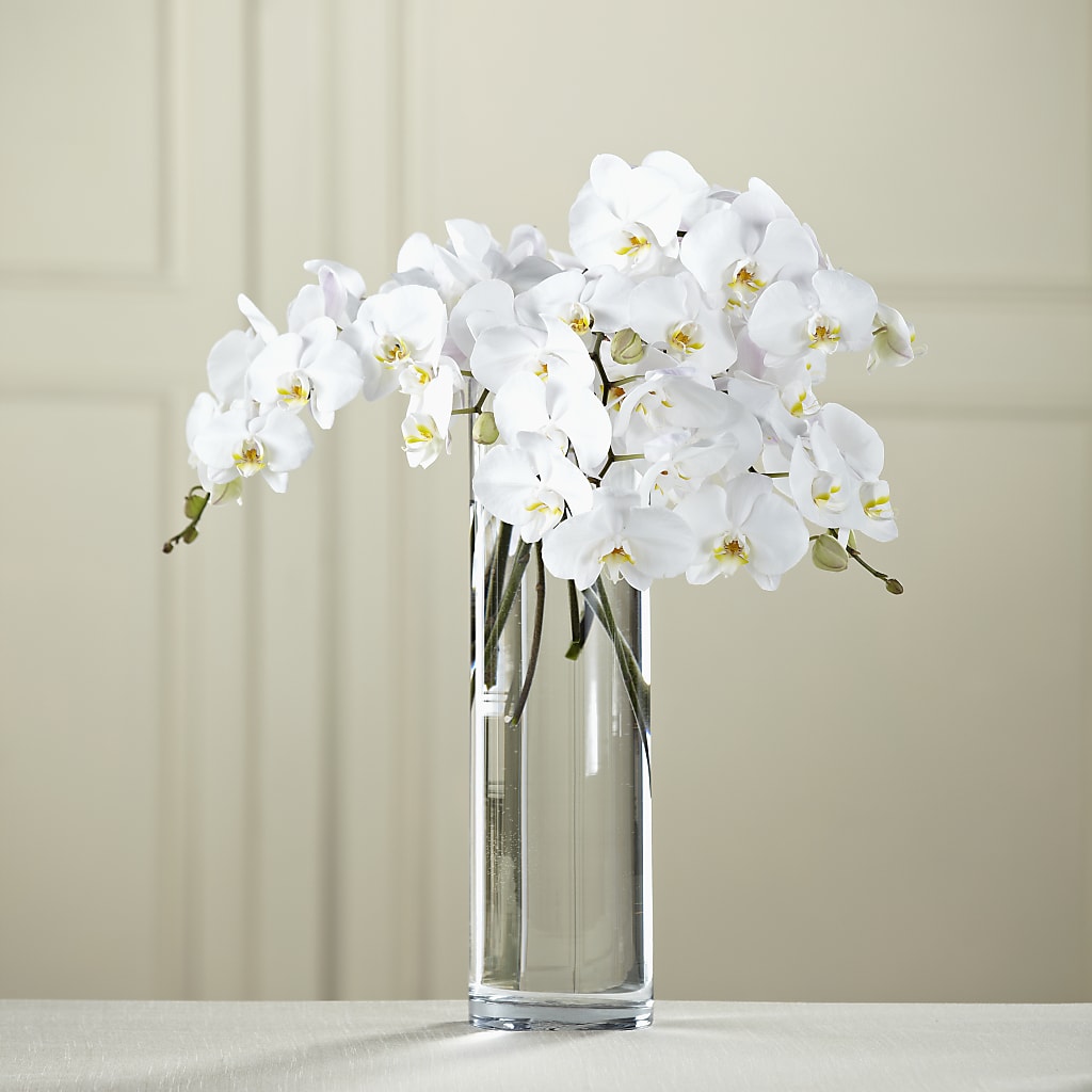 White Phalaenopsis Bouquet – ALWAYS & FOREVER FLORAL, Delbarton WV