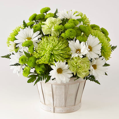 Lucky Charm Basket (Standard) – ALWAYS & FOREVER FLORAL, Delbarton WV