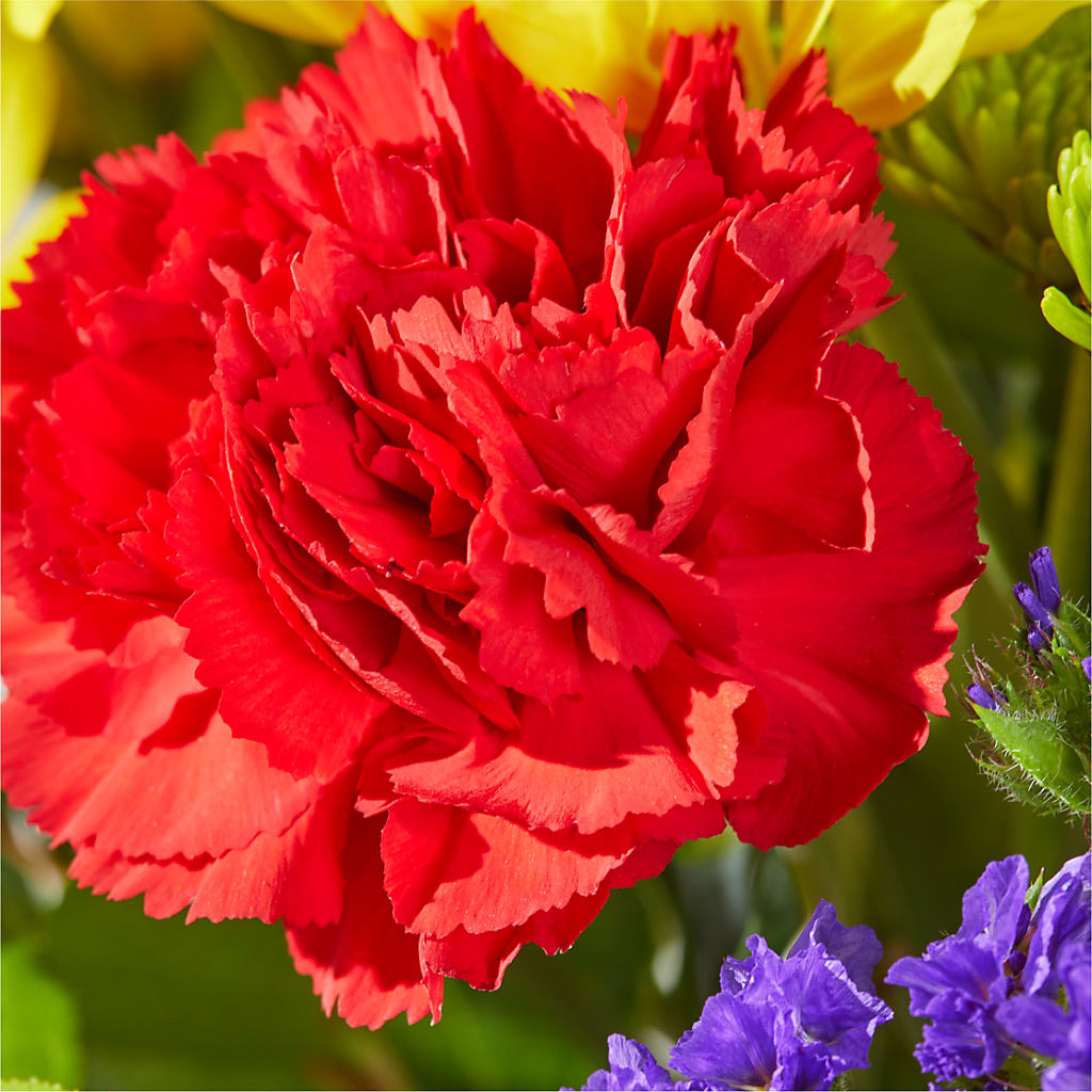 Brighter Days Bouquet – ALWAYS & FOREVER FLORAL, Delbarton WV