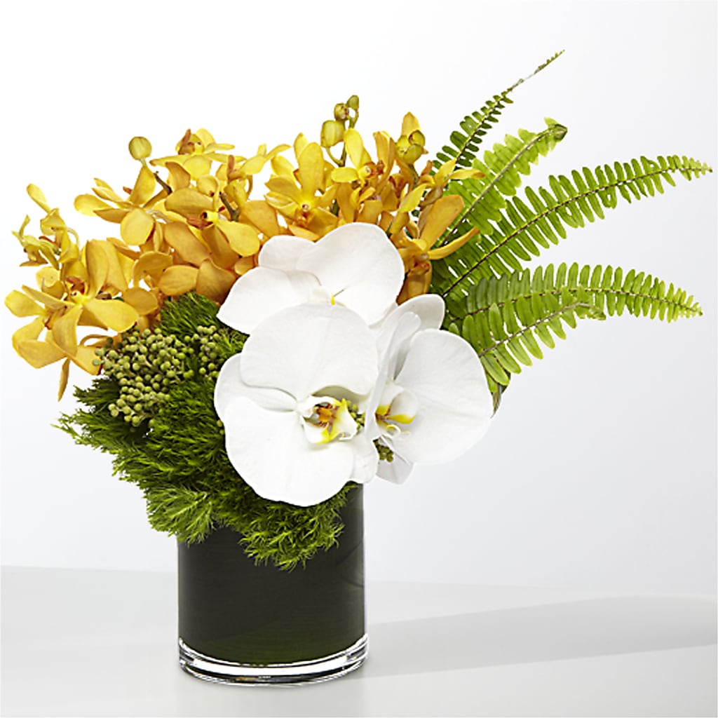 The Tropics – ALWAYS & FOREVER FLORAL, Delbarton WV