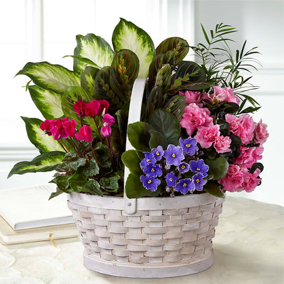 Peaceful Garden Planter – ALWAYS & FOREVER FLORAL, Delbarton WV