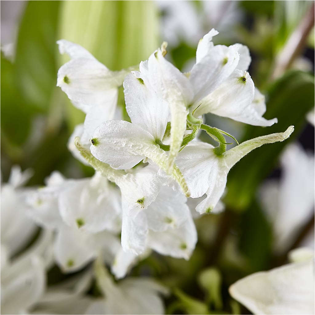 Classic Ivory – A Florist Original – ALWAYS & FOREVER FLORAL, Delbarton WV