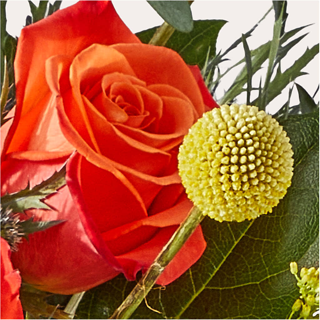 Disco Bouquet – ALWAYS & FOREVER FLORAL, Delbarton WV
