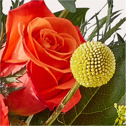Disco Bouquet – ALWAYS & FOREVER FLORAL, Delbarton WV