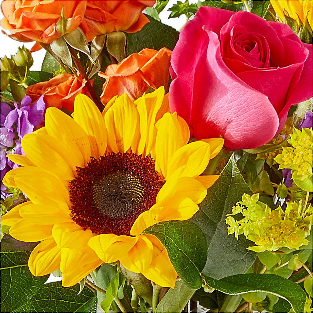 Vibrant Greetings Bouquet – ALWAYS & FOREVER FLORAL, Delbarton WV