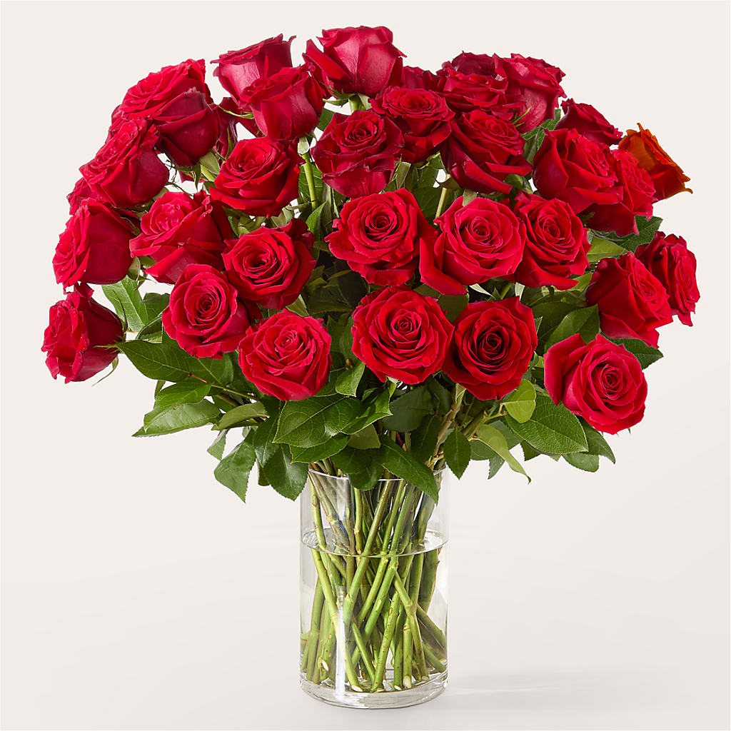 The One Red Rose Bouquet – ALWAYS & FOREVER FLORAL, Delbarton WV