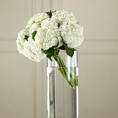 White Hydrangea Hand-Tied Bouquet – ALWAYS & FOREVER FLORAL, Delbarton WV