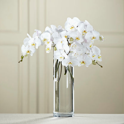 White Phalaenopsis Bouquet – ALWAYS & FOREVER FLORAL, Delbarton WV